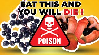 Dangerous Foods to EAT! FOOD THAT CAN KILL YOU