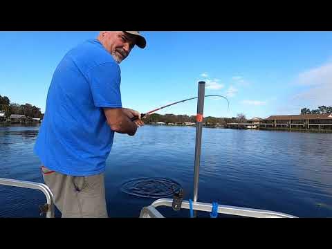 Florida River Catfish Catch and Cook 