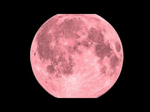 Live Pink Full Super moon April 2024