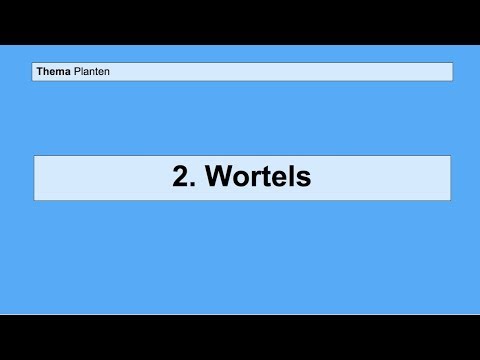 Video: Gevoelens Van Bladeren En Wortels - Alternatieve Mening