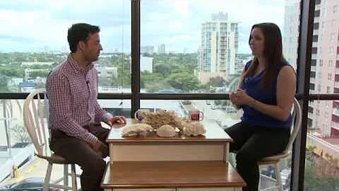 Frost Museum of Science's Dr. Angela Colbert Visit...