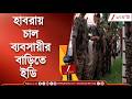 ED Raid | সাত সকালে ইডির ম্যরাথন অভিযান, হাবরার চাল ব্যবসায়ীর বাড়ি ইডির হানা | Zee 24 Ghanta