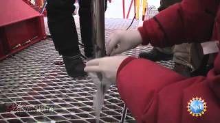 Mineral Munching Microbes Found Deep Beneath Antarctic Ice | Video