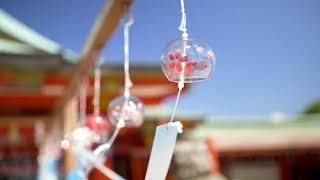 風鈴|LUMIX GH7 + Sigma 18-35mm F1.8 DC HSM + METABONES Speed Booster XL 0.64 T + RODE VideoMic NTG