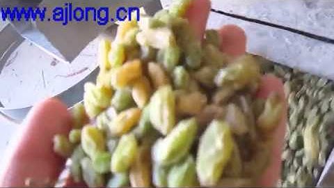 Raisins Color sorting Machine tina@angelon.com.cn