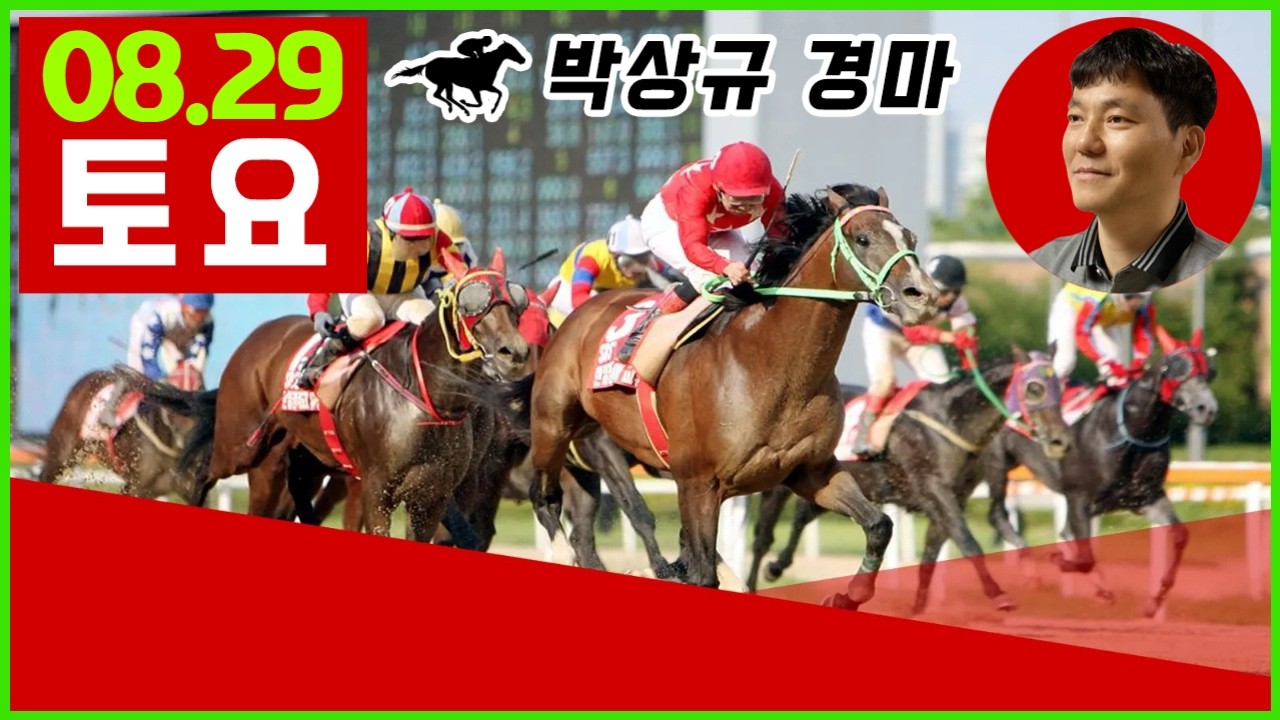 2026년 8월29일 토요 경마, 방송 보신분들 모두 좋은 결과 있기를 기원합니다.