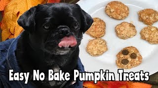 Easy Quick No Bake Pumpkin Dog Treat Recipe #yum #glutenfree #homemade #stayhome by Talent Hounds 1,713 views 5 years ago 1 minute, 35 seconds