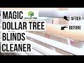 DIY MAGIC BLINDS CLEANER // Dollar Tree Cleaning Hack