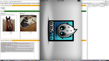 guessing game cocos2d x meir yanovich