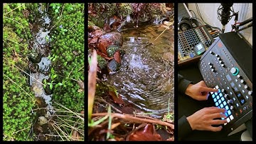 Watershed - A Lazy Arpeggiator Jam