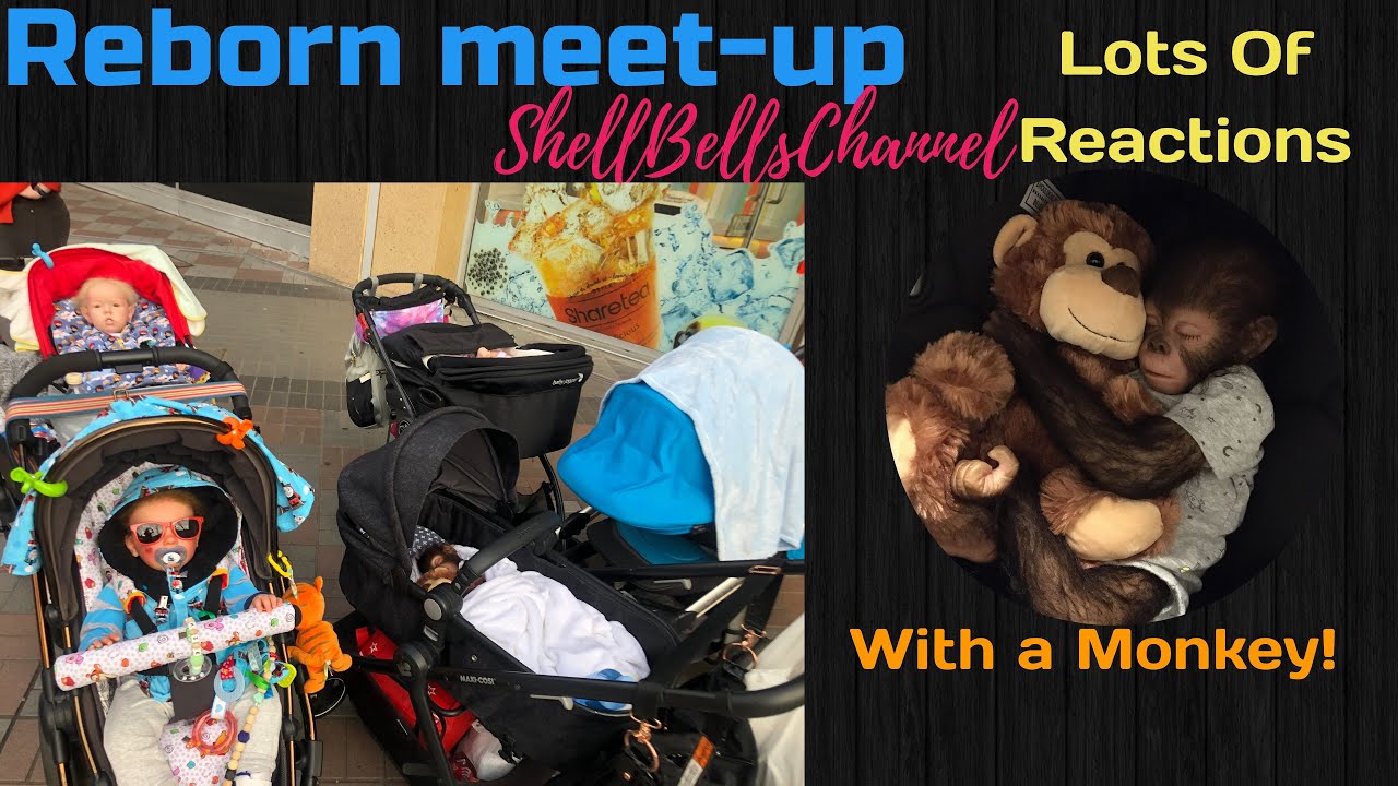 Reborn baby Outing 2020 (With a MONKEY) Lots of Reactions - Episode 47