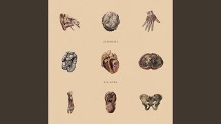 Download Lagu Dust MP3