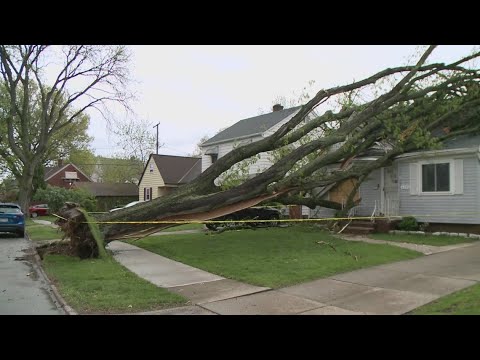 Severe storms in Northeast Ohio: Massive tree falls on home in ...