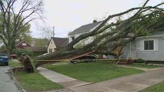 Severe storms in Northeast Ohio: Massive tree falls on home in Cleveland
