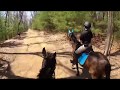 COME ON A TRAIL RIDE WITH ME | GoPro | JMG Equestrian