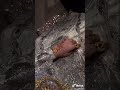 شعبنا اسعد شعوب