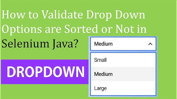 How to Validate Dropdown Options are Sorted using Selenium Java?