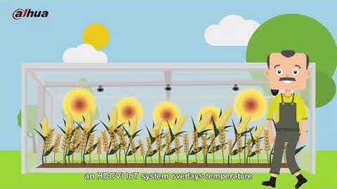 DIGIGUARD Dahua IOT Cameras