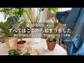【築50年賃貸一軒家】物置部屋からお気に入りに変わるまでのこころ模様。真夏に備えた小さな模様替え[60代Vlog]