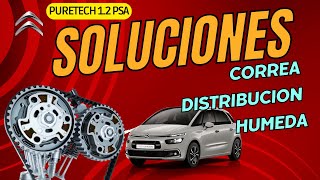 Novedades sobre la Correa húmeda Citroën. Explicación y posible solución Motor 1.2 PSA  #Puretech
