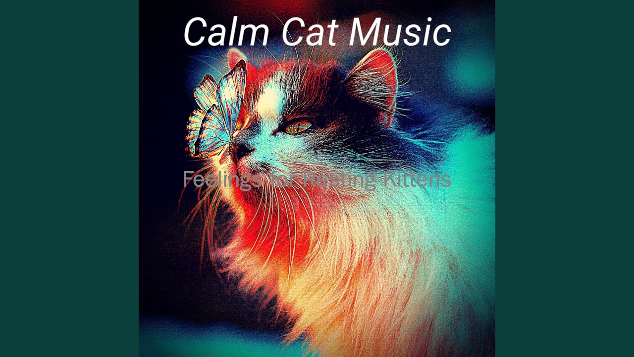 Remarkable Music for Dreams