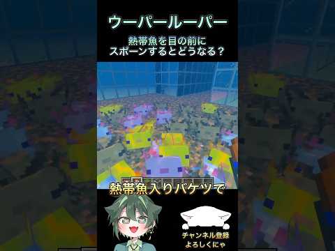 熱帯魚が大好きなウーパールーパー #マイクラ #マインクラフト #shorts