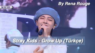 Stray Kids - Grow Up (Türkçe Çeviri) {Noeasy} Live