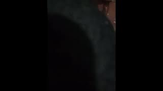 Reff sesungguhnya pemula akustik (coverehon)