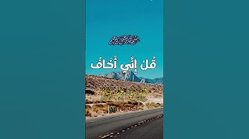 قل إني أخاف إن عصيت ربي | سورة الزمر #قرآن #قران_كريم #holyquran #اكسبلور #لايك #duet