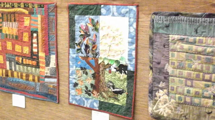 Anne Tiller's Pieceful Quilts Exhibit
