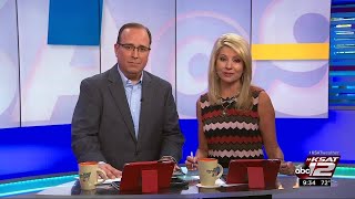 Video Reporter Debrief Road To Recovery For Injured Dogs