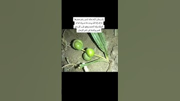 سبحان الله#دعاء #اكسبلور #اذكار #استغفار