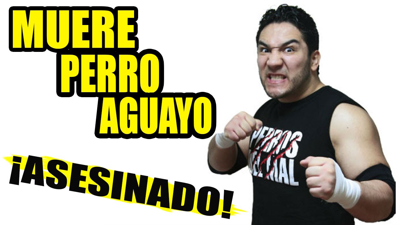 MUERE EL HIJO DEL PERRO AGUAYO LUCHADOR MEXICANO ASESINADO CMLL Y AAA DE LUTO YouTube MUERE EL HIJO DEL PERRO AGUAYO LUCHADOR MEXICANO ASESINADO CMLL Y AAA DE LUTO YouTube