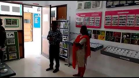 Butterfly Research Laboratory | Department of Zoology | Yogi vemana University