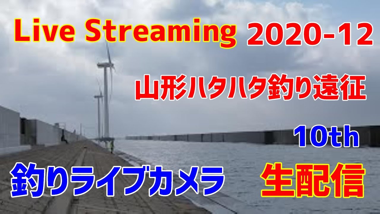 山形酒田北港で釣り ハタハタは 釣れるのか 生配信 Live Streaming Youtube 山形酒田北港で釣り ハタハタは 釣れるのか 生配信 Live Streaming Youtube