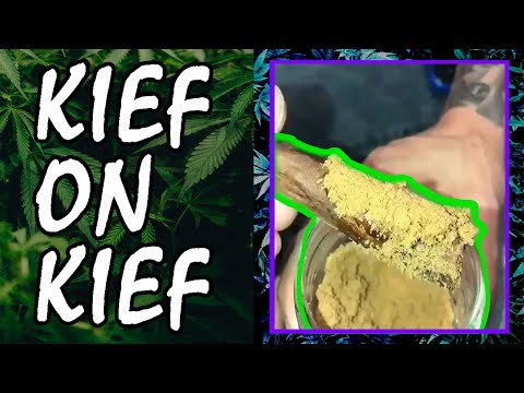 weed-memes-&-fail-compilation-/-wtf-moments-#2---fatally-stoned