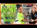 Fidget Spinner Toy Hunt at Shopping Mall #7, I Got 14 Free Spinners & Display Case - TigerBox HD