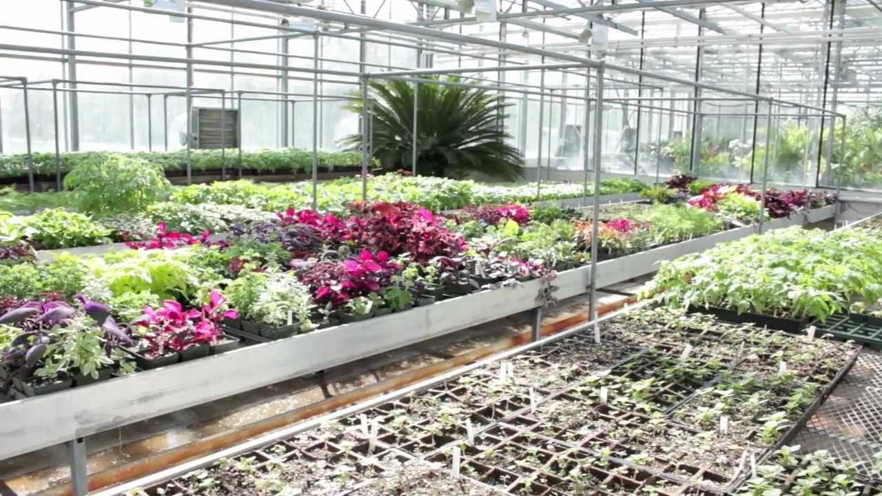 Tecnología de horticultura y paisajismo