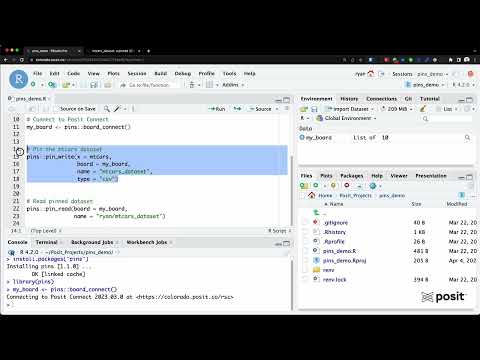 Leveraging Pins with Posit Connect