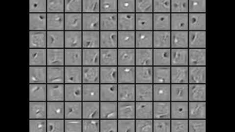 RBM Training on MNIST