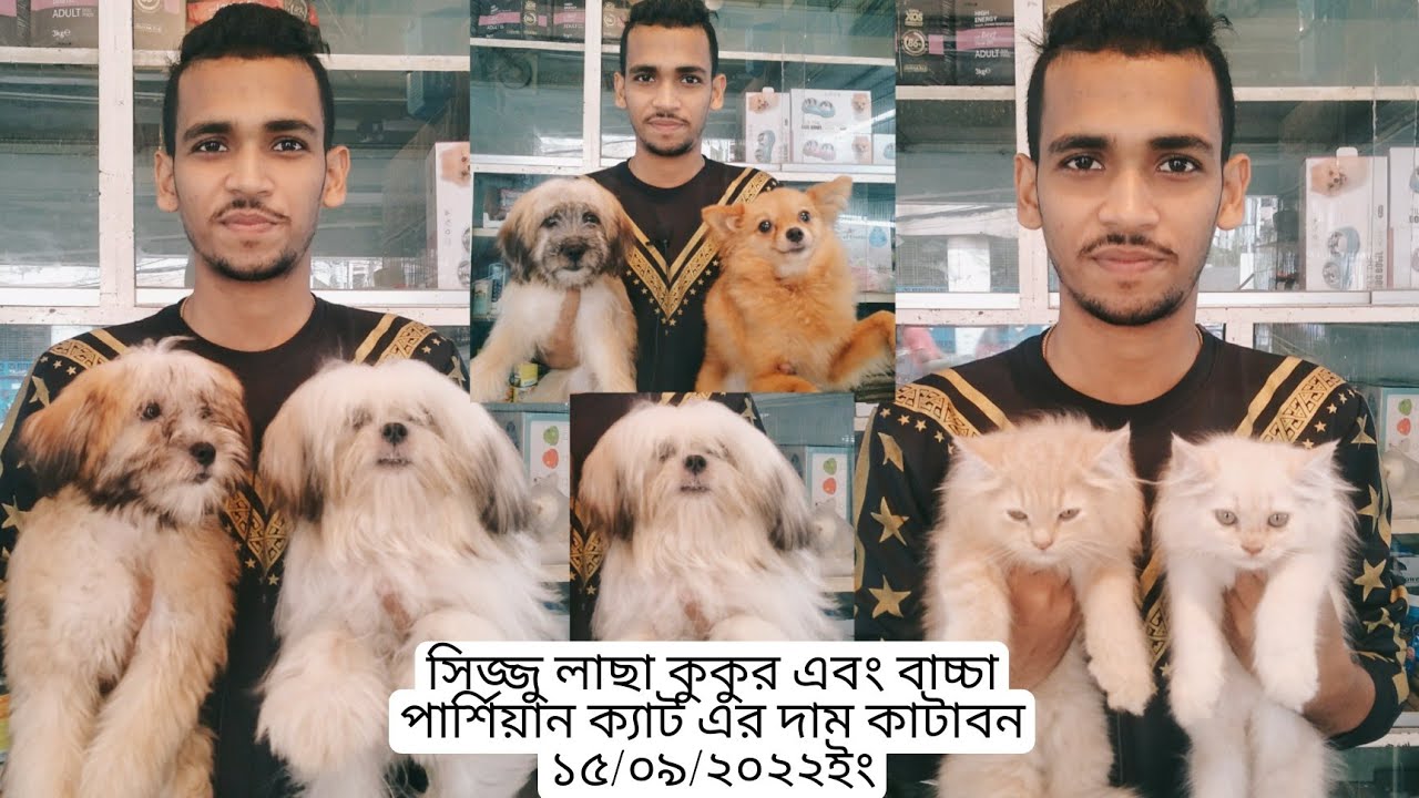  Sejjo Lacha Dog And 