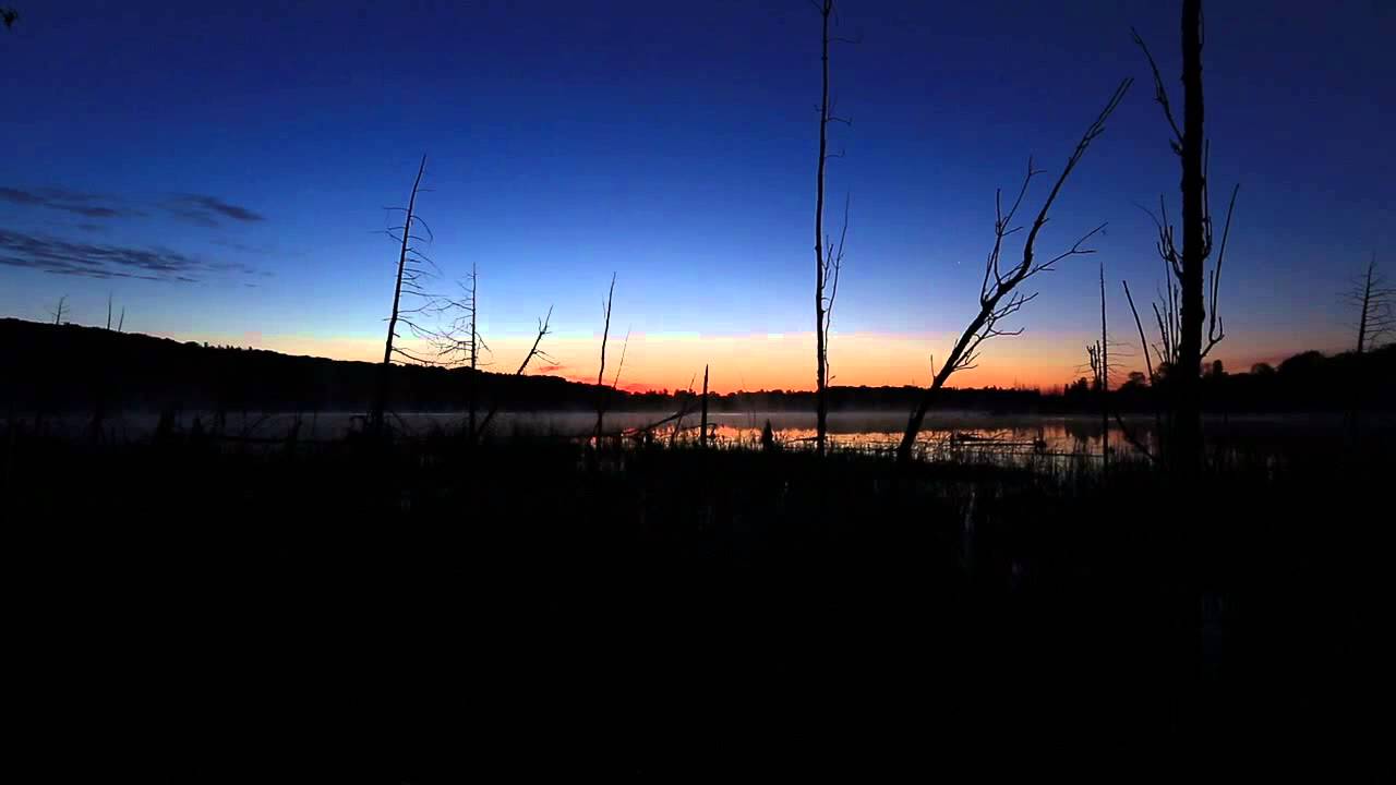 Sunrise Sounds YouTube