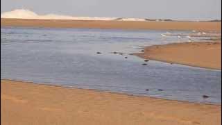 Outflow - Tides Flow Towards the Mfolozi River
