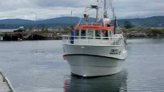 Selfa Arctic 1200 Svinerygg