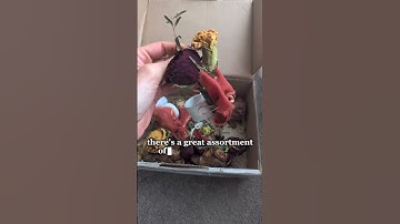 Dungeons & Dragons Wedding Dice Set