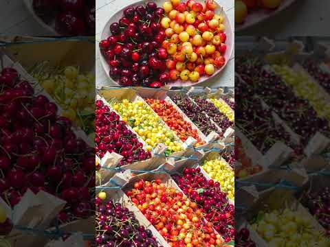 Video: Süßes & Delicious DIY Zuckerstange-Vase