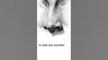 How Artists Get Noses Wrong