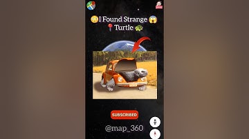😳 I found strange turtle 🐢 🤯 on google maps and google earth 🌎 #shorts #viral #earth #map360
