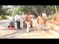 Tigers, monkeys scare Tirumala trekkers