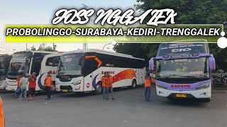 RUTE DIPERPANJANG ❓️ JALUR TAPAL KUDA SEMAKIN RAPET